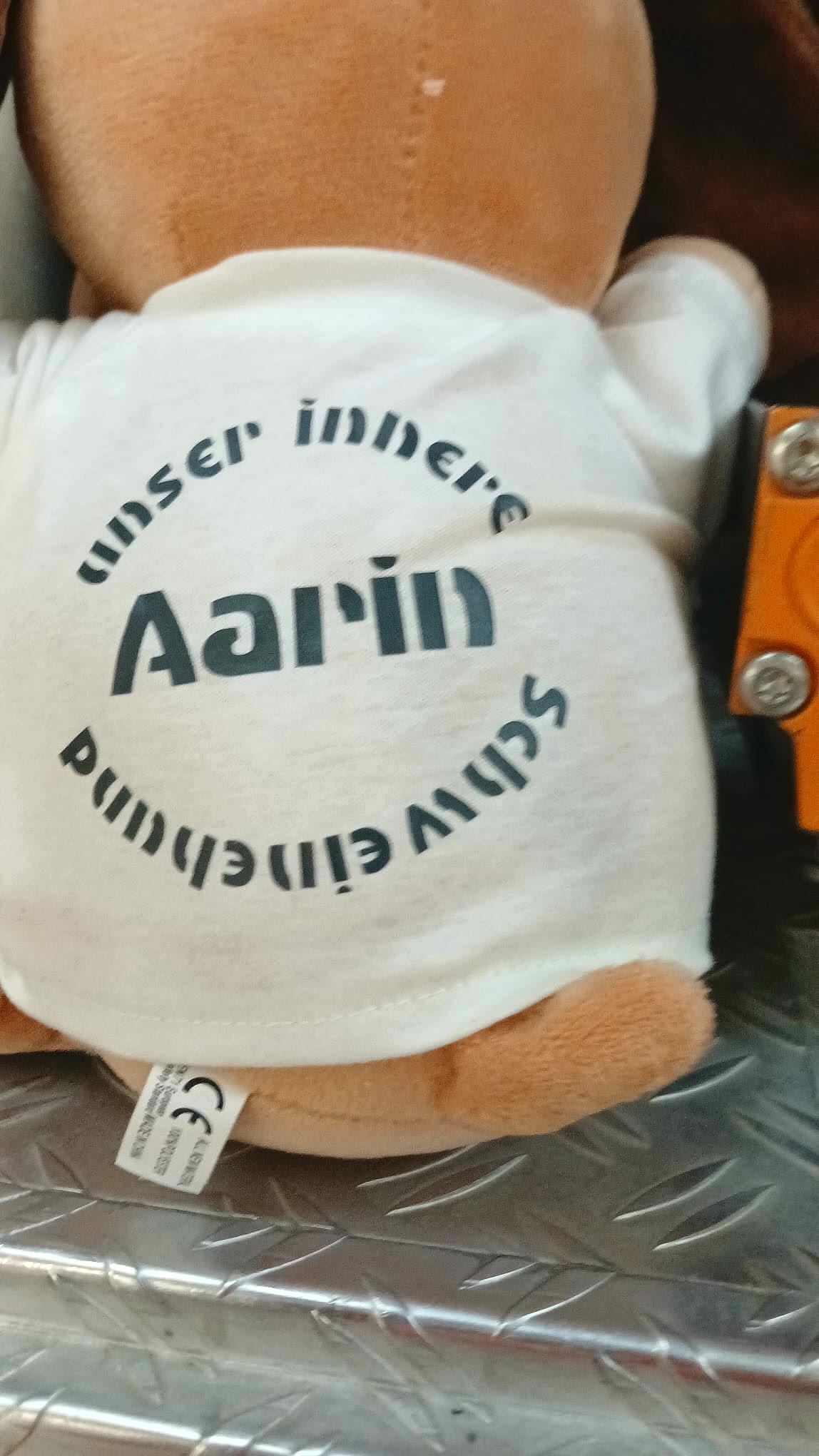 Rückseite von Aarins T-Shirt mit dem inneren Schweinehund